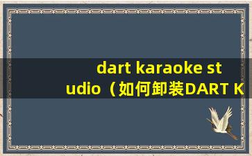 dart karaoke studio（如何卸装DART Karaoke Studio）